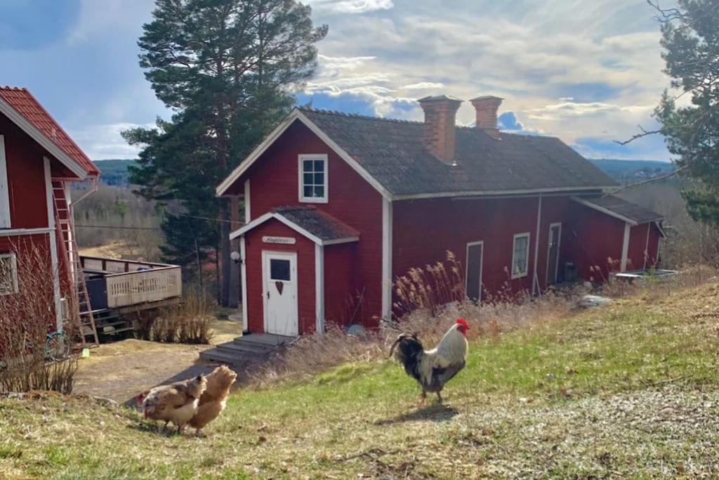Egen Stuga Och Vedeldad Bastu Linghed Exterior foto
