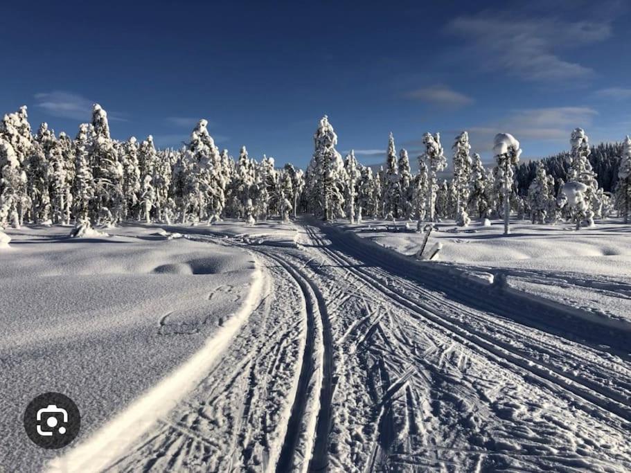 Egen Stuga Och Vedeldad Bastu Linghed Exterior foto